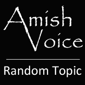 Amish Voice Random Topic
