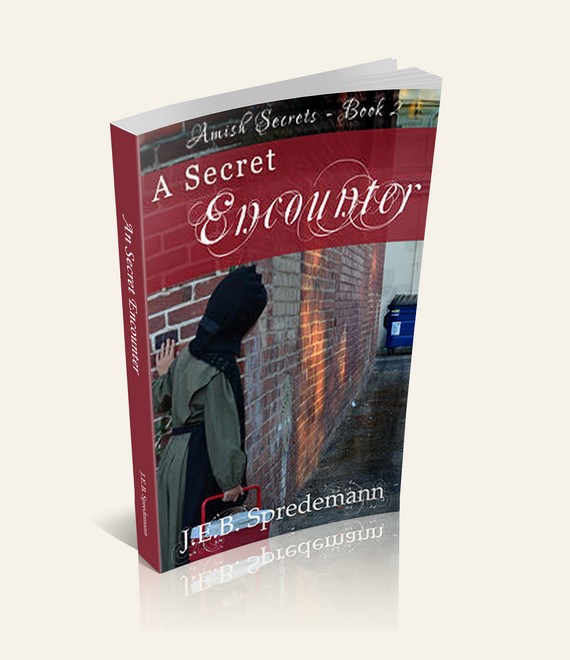 Amish Secrets: Book 2 - A Secret Encounter