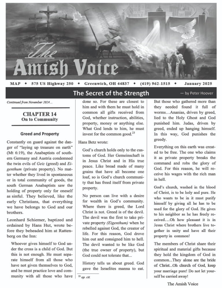 Amish Voice – January 2025