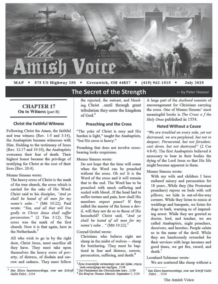 Amish Voice – July 2025
