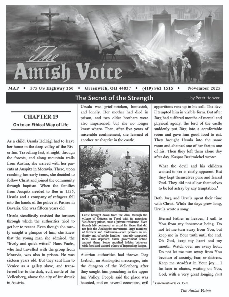 Amish Voice – November 2025