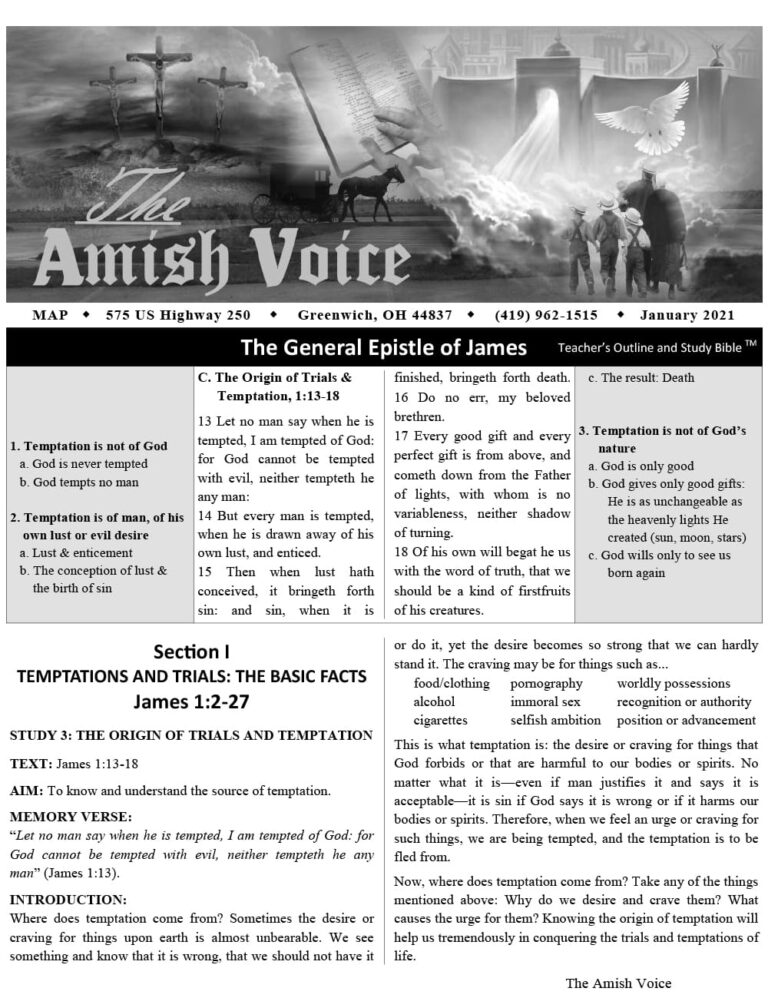Amish Voice – January 2021