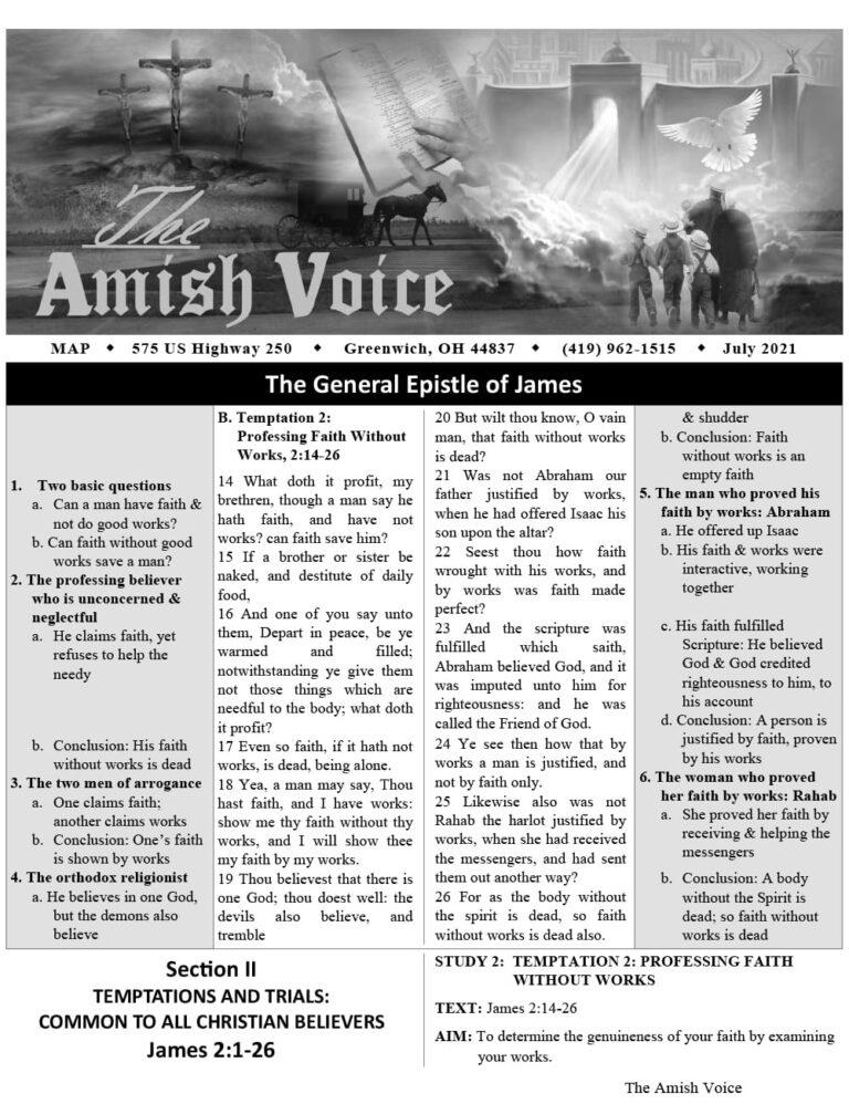 Amish Voice – July 2021
