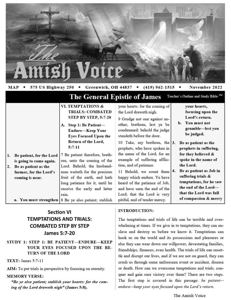 Amish Voice – November 2022