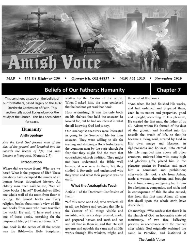 Amish Voice – November 2019