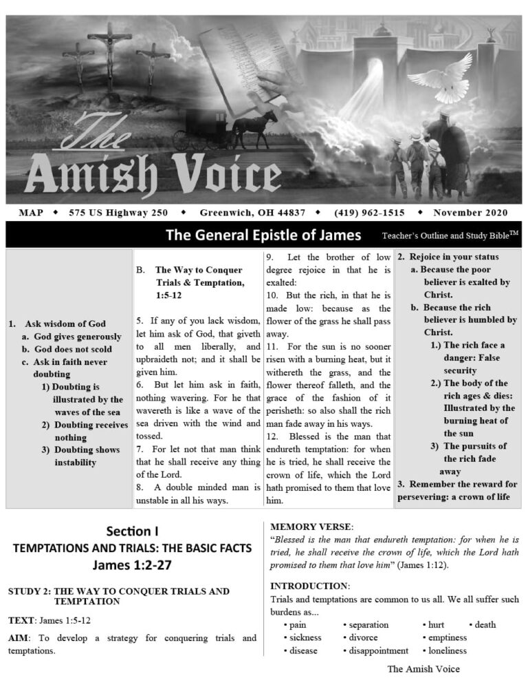 Amish Voice – November 2020