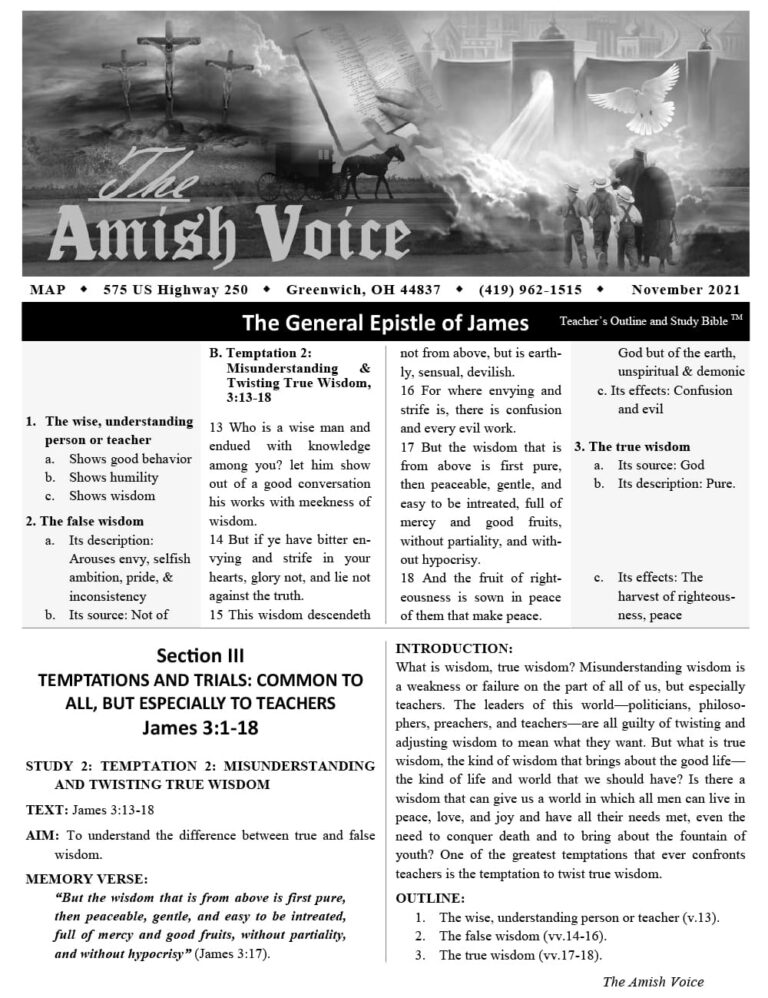 Amish Voice – November 2021