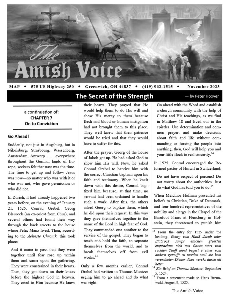 Amish Voice – November 2023