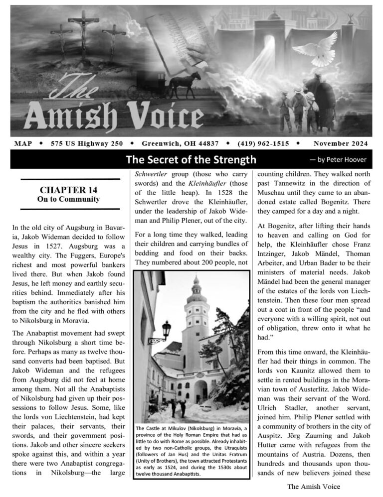 Amish Voice – November 2024
