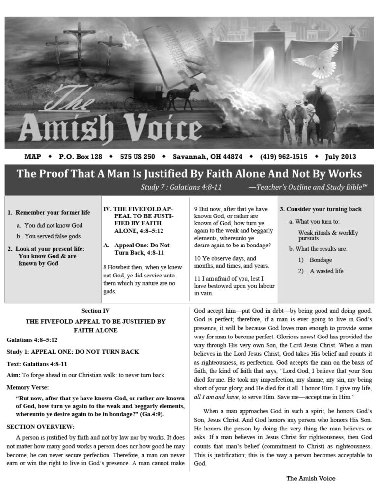 Amish Voice – July 2013