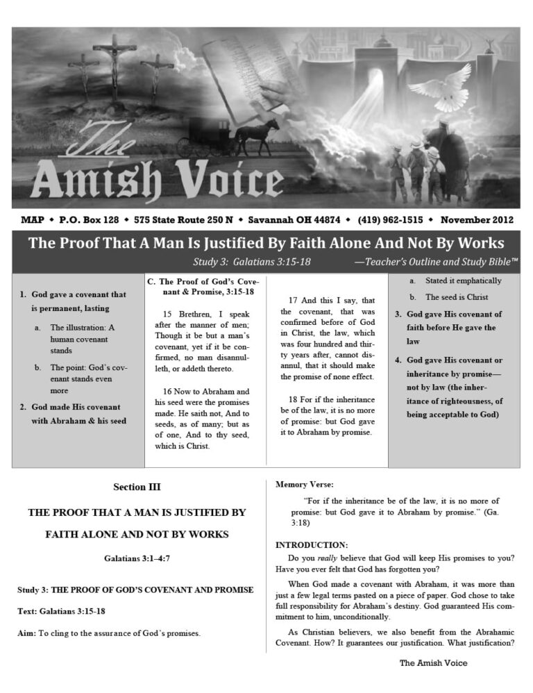 Amish Voice – November 2012