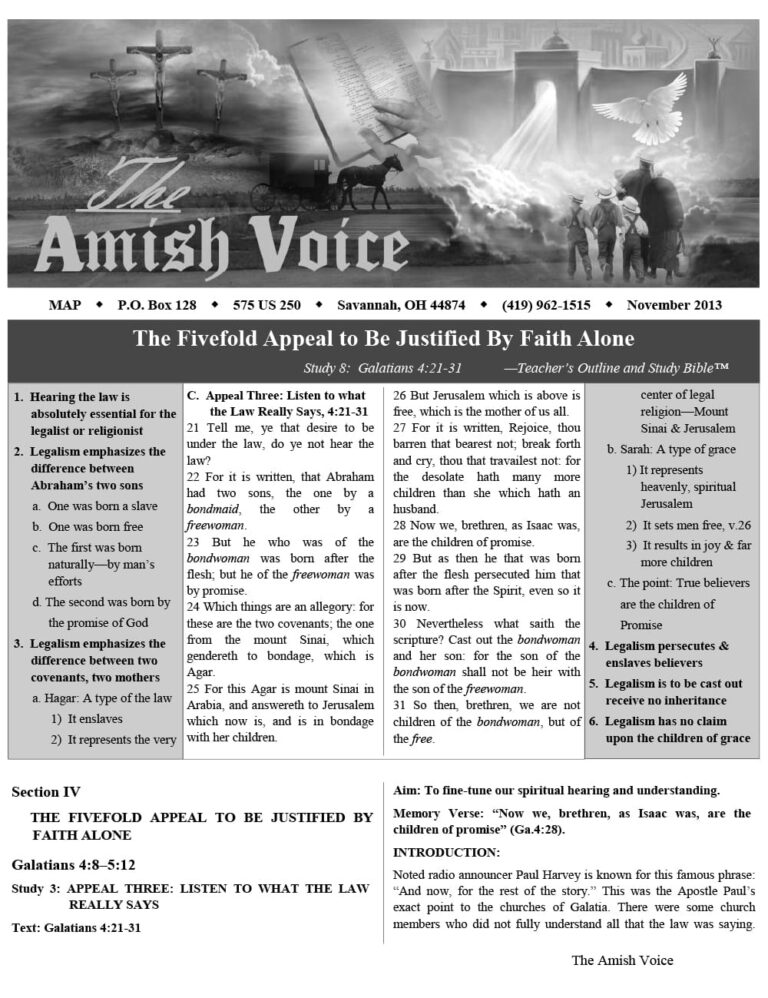 Amish Voice – November 2013