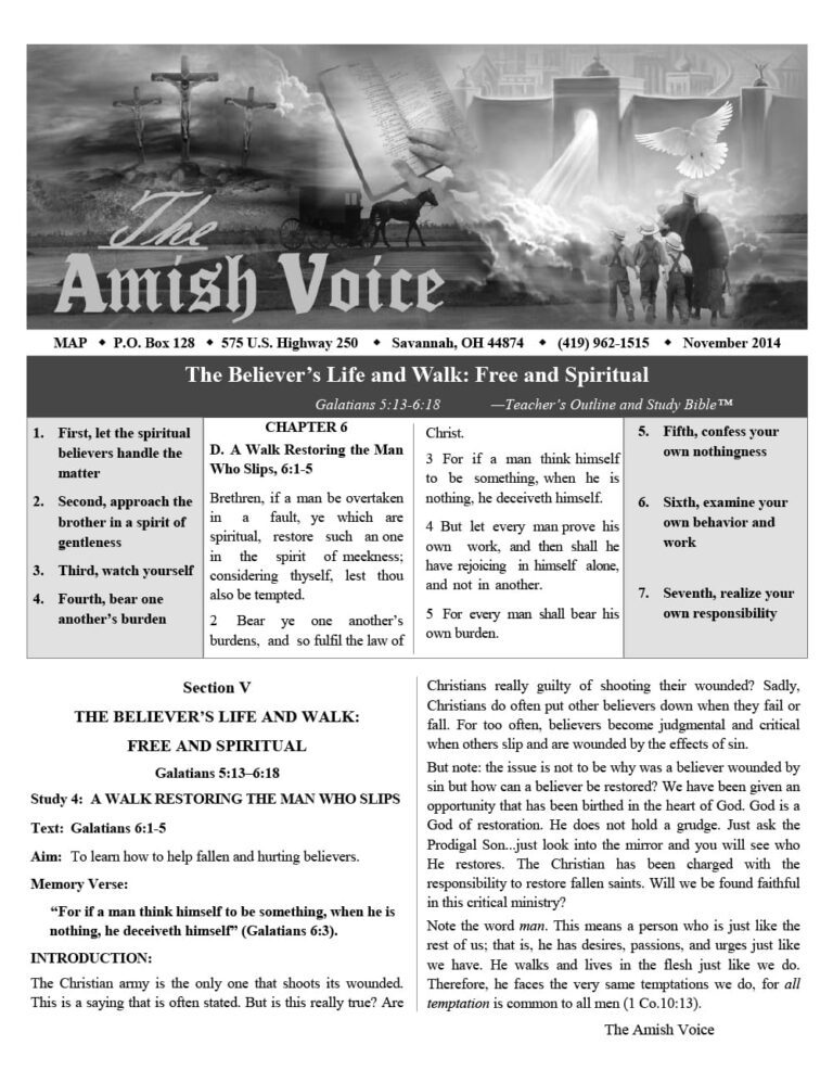 Amish Voice – November 2014